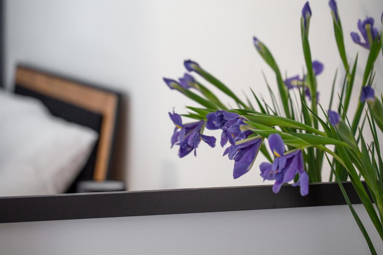 Apartament Ksiezycowy - Mlyn Maria - Art Apartments فروتسواف المظهر الخارجي الصورة